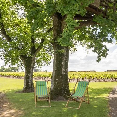 De Charme Avec Piscine Chauffee Et Wifi - 2 - Fr-1-306-803 Tatil Evi *